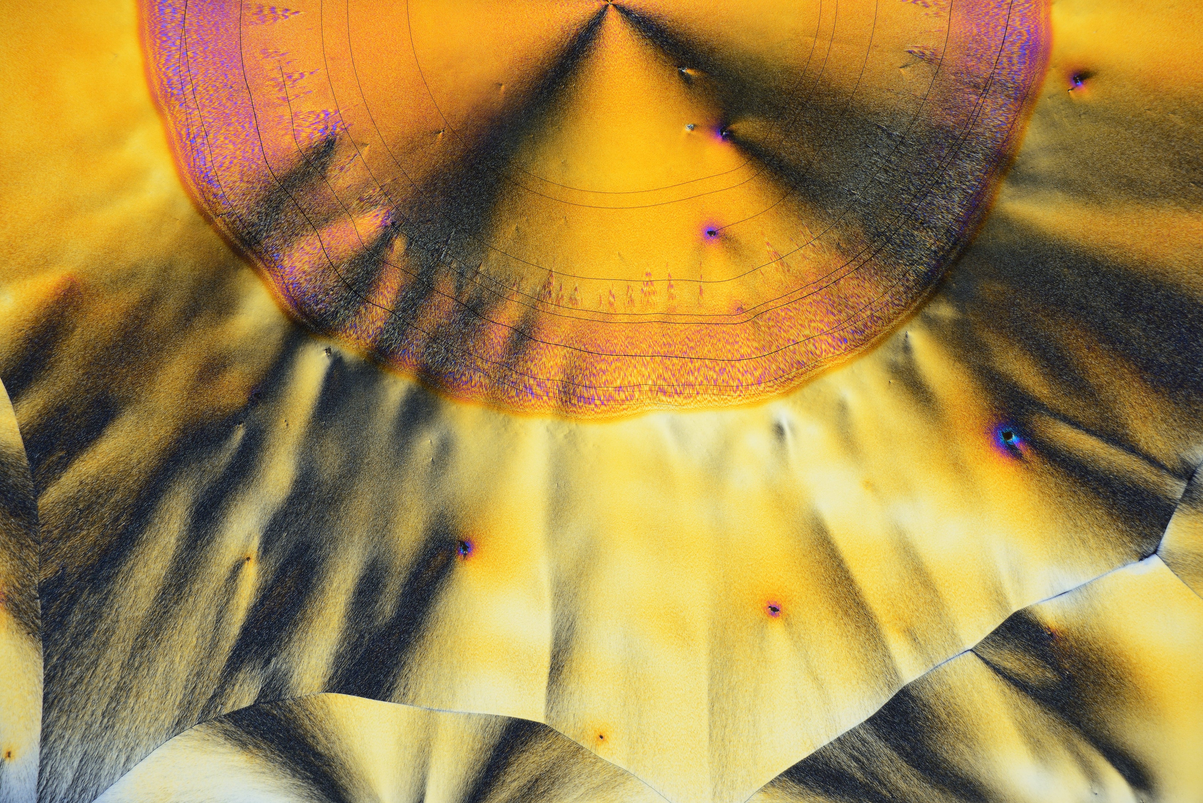 Synesthesia