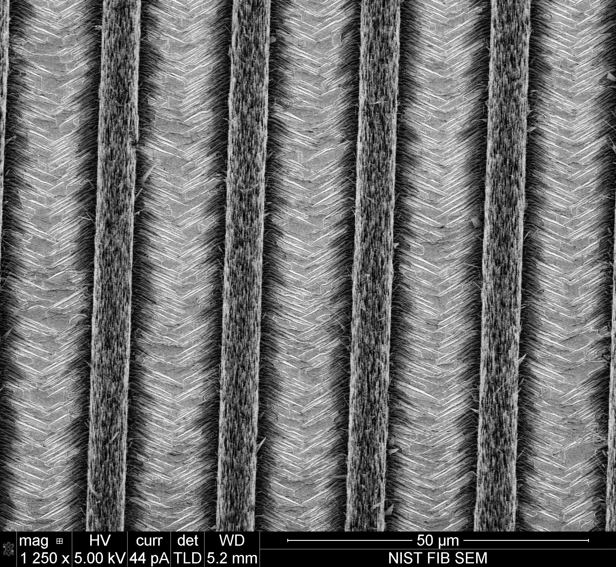 Microscopy image of nanowires